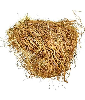Nutrixia Food Vetiver roots / वेटिवर की जड़ें / Vetiver Ki Jade 100 gm