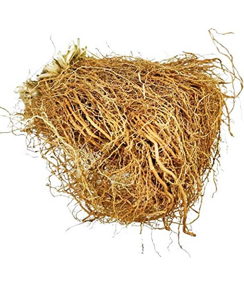 Nutrixia Food Vetiver roots / वेटिवर की जड़ें / Vetiver Ki Jade 100 gm