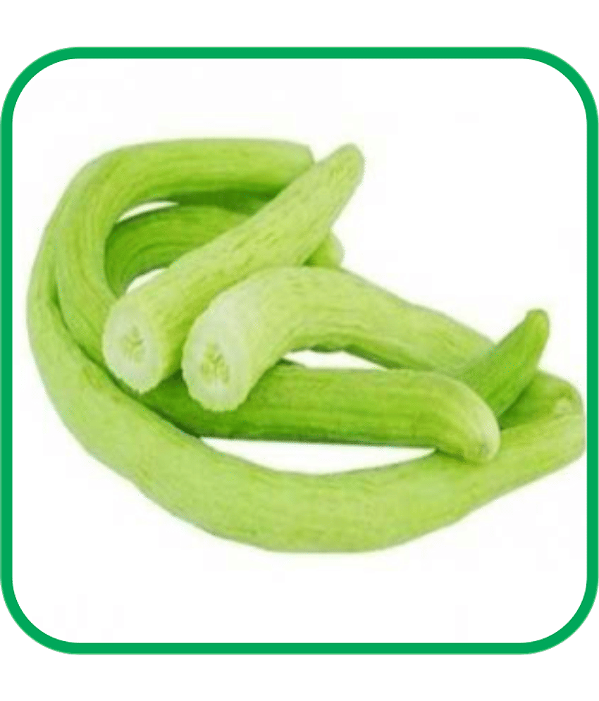 Aero Seeds Long Melon Pack of 50 Seeds