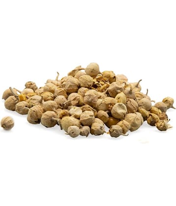 MYGODGIFT Paneer Ka Phool | Paneer Doda | Paneer DODI | Withania Coagulans 100 gm