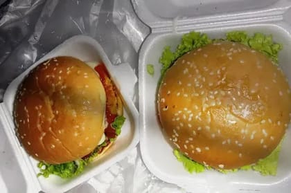 Veg Spicy Burger