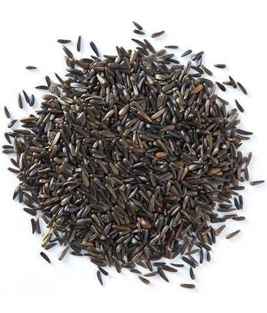 Nutrixia Food Niger Seed/रामतिल/Ramtil/Karale/Karal/Bird Food 100 gm