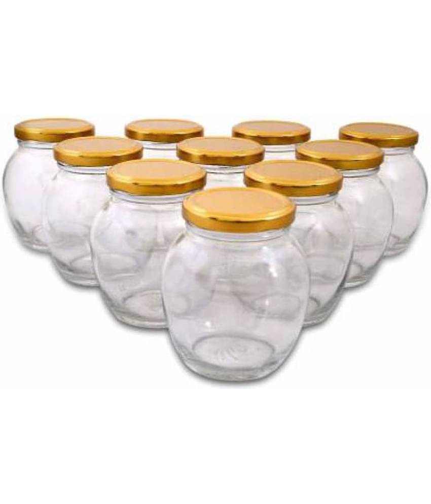 CROCO JAR Glass Spice Container Set of 8 400 mL