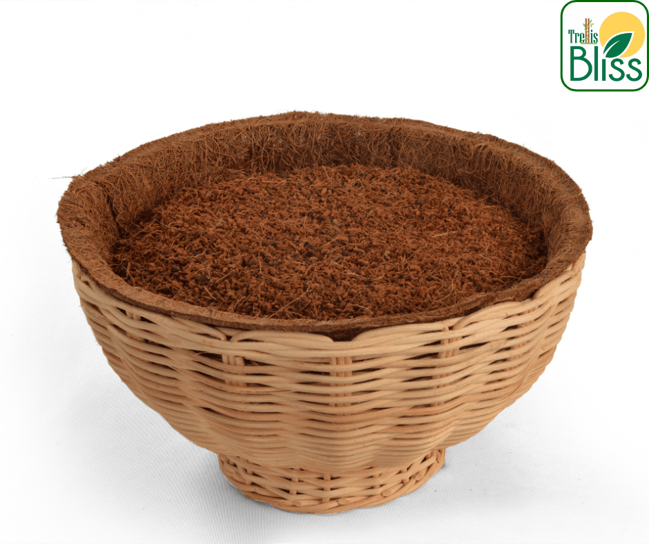 Trellis Bliss 10″ Reed Woven Bowl Tabletop Planter