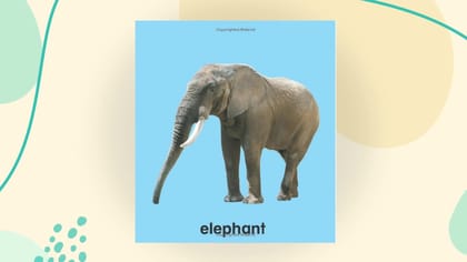 Animals Padded Board Book for Children Age 0-2 Years- Early Learning First Padded Board Book Series [Board book] Dreamland Publications