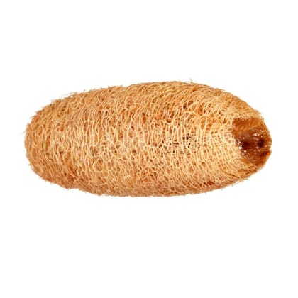 ATNAYAJ Unisex Organic Loufah/Loofah Sponge Body Scrubber, Chemical Free, Eco Friendly (Pack of 5)