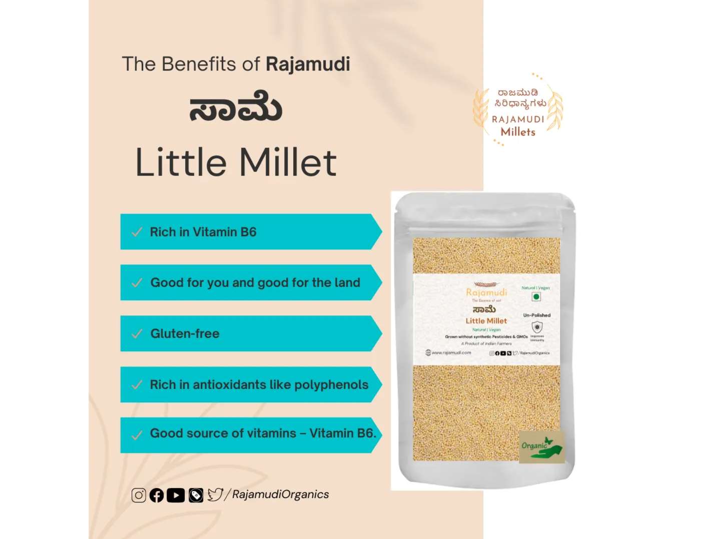 SAAME - Little Millet - 500 Gram