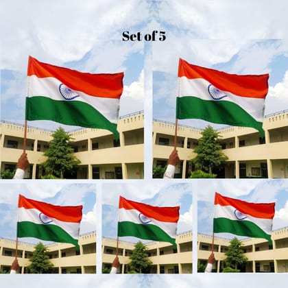 IVillage Indian Flag Set of 5
