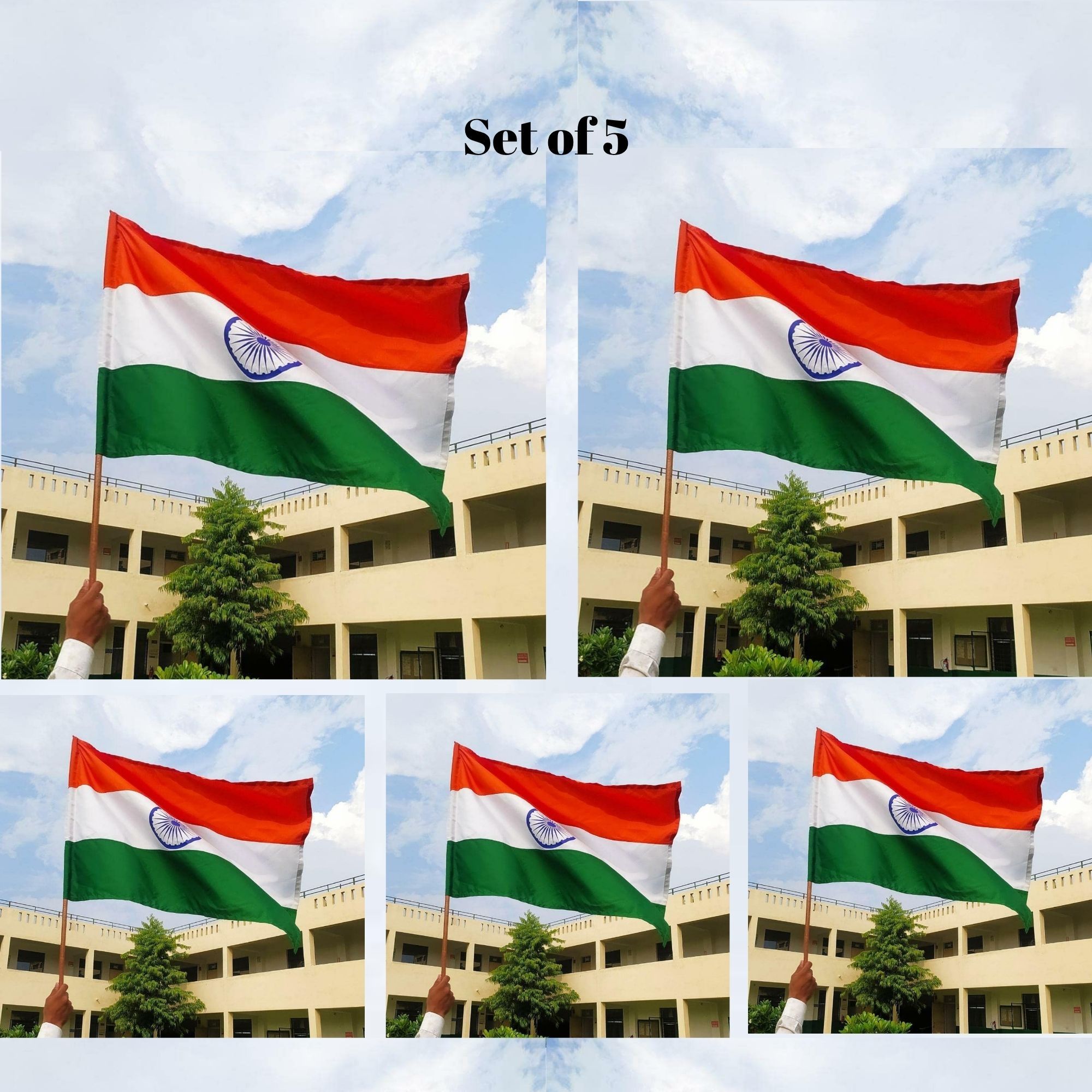 IVillage Indian Flag Set of 5