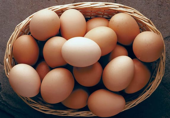 The Egg Zone