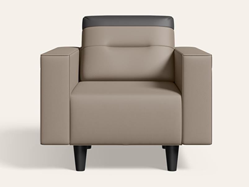 Vespera 1 Seater Synthetic Leather Sofa (3-Years Warranty, Solid Wood, Peanut and Black)