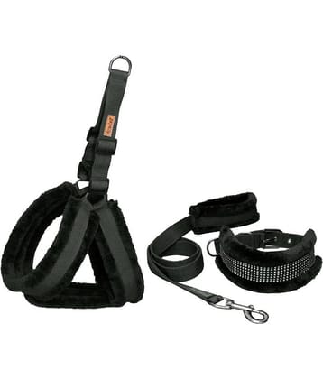 Petshop7 - Black Dog Combo (Medium)