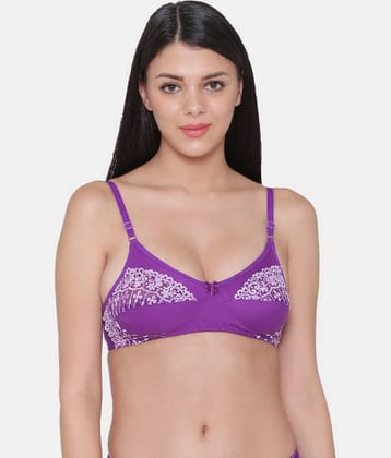 N-Gal Cotton Blend Non Padded Women's Everyday Bra ( Maroon )