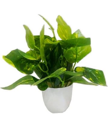 Green plant indoor Artificial Money Plant Bonsai Green Bonsai Plastic - Pack of 1
