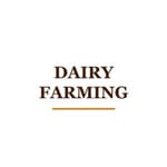 DAIRY FARMING