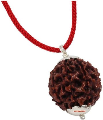 Astrodidi 4 Mukhi Rudraksha Pendant With Lab Report