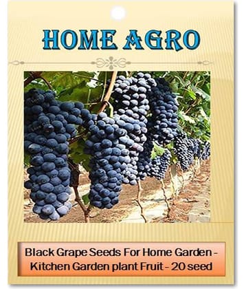 homeagro - Black Grape Fruit ( 20 Seeds )