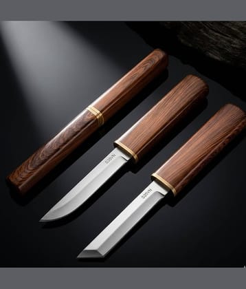 Stainless Steel Utility Knife with Protective Cover | Sharp Blade Kitchen Knife for Fruits & Vegetables | Compact Portable Knife