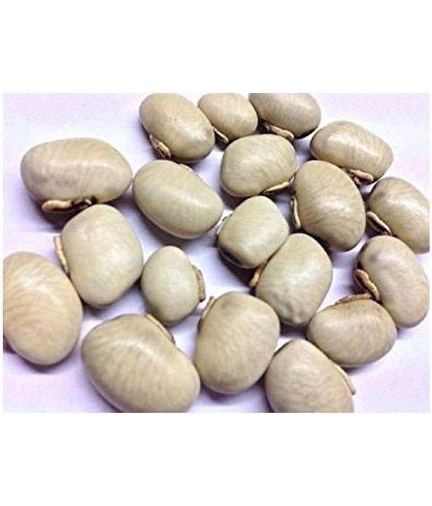 Nutrixia Food Kauch Beej/कौच बीज/Konch/Mucuna pruriens/Kaunch Seeds  50 gm