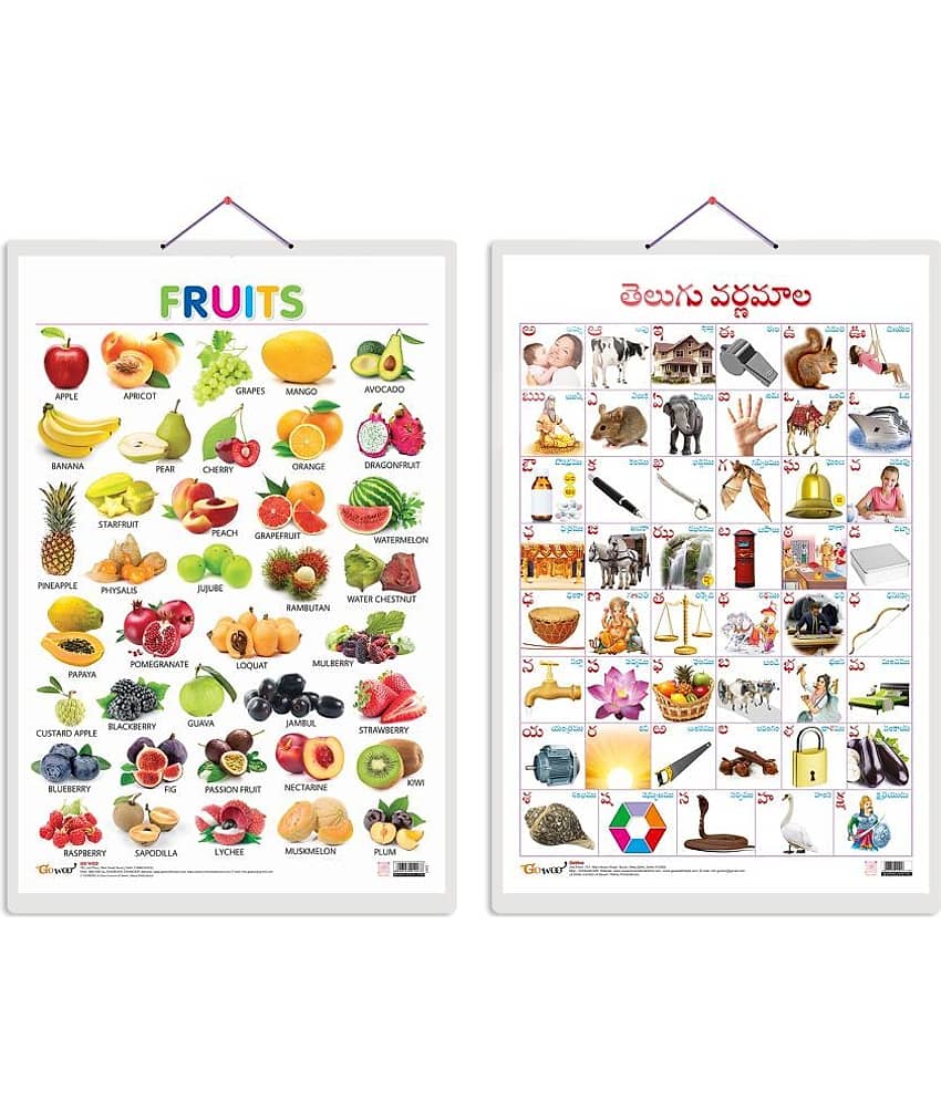 Set of 2 Fruits and Telugu Alphabet (Telugu) Early Learning Educational Charts for Kids | 20"X30" inch |Non-Tearable and Waterproof | Double Sided Laminated | Perfect for Homeschooling, Kindergarten and Nursery Students