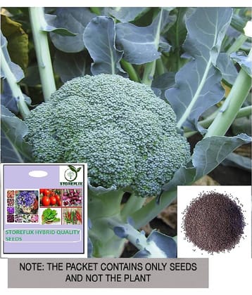 STOREFLIX Broccoli Vegetable ( 50 Seeds )