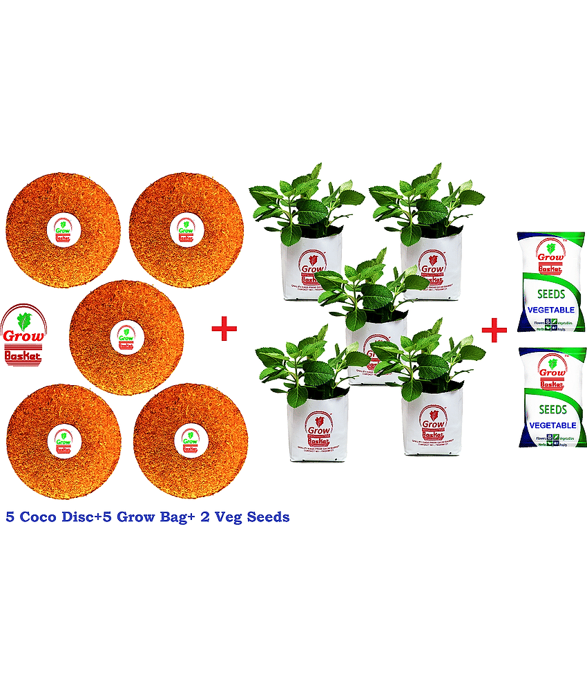 cocopeats disc 5x100g + 5 Grow bags(30x16x16cm) +2 Vegetables seed pack