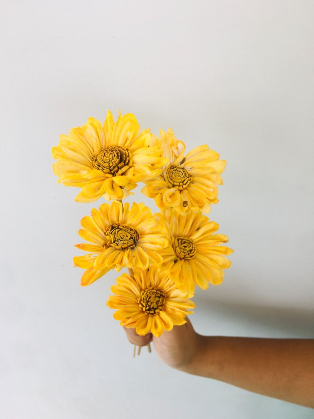 Sunflower Sola Flower (5pcs)