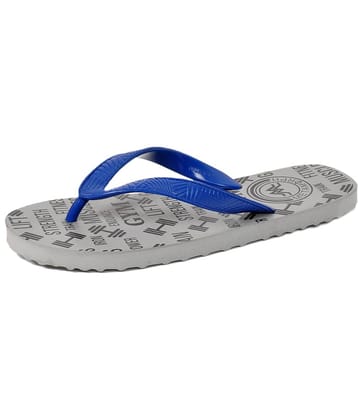 METAMORPH Gray Flip Flops