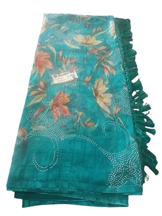 Elegant Silk Saree with Intricate Stone Work Blouse