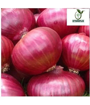 STOREFLIX ONION RED KANDA PYAJ VEGETABLE 500 HIGH GERMINATION SEEDS PACK WITH USER Seed (500 per packet)