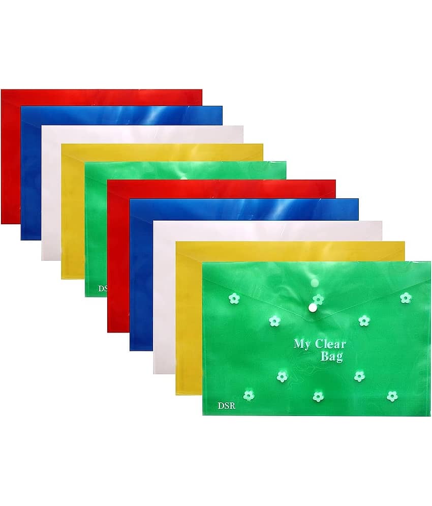 Eclet Assorted/Multicolour My Clear Bag Folder ( Pack of 10 )