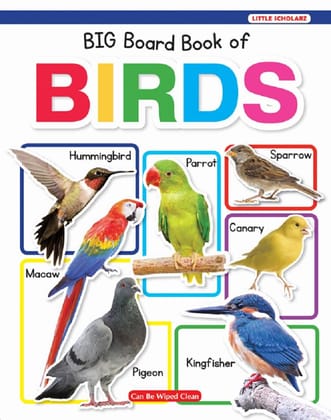 New Big Board Book of Birds [Hardcover] [May 16, 2025] LS Editorial Team