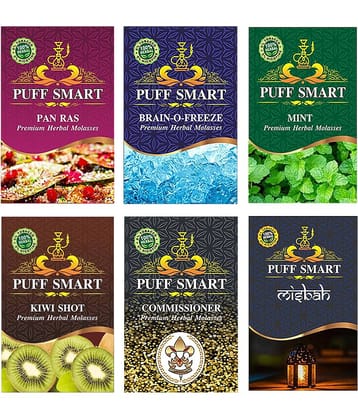 Puff Smart Premium Herbal Hookah Flavour Pack of 6 (Pan Ras, Brain-O-Freeze, Mint, Kiwi Shot, Commissioner, Misbah)