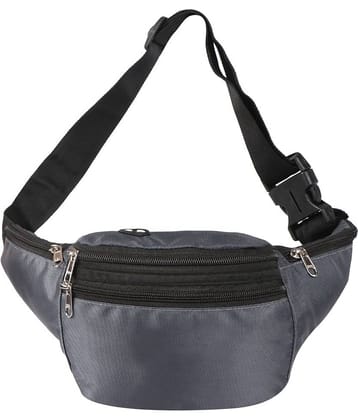Nice Purse Polyester Grey Waist Pouch