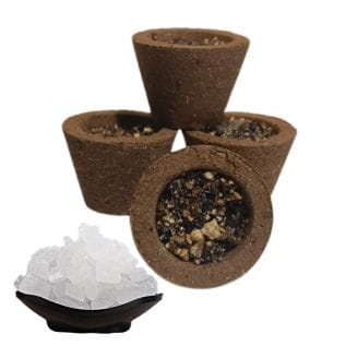 Goseva Kapur Dhoop Cup (12 Pcs)