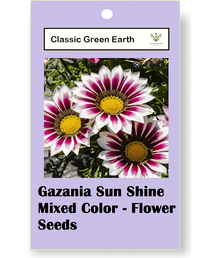 CLASSIC GREEN EARTH - Flower Seeds ( Gazania Star Light Dwarf 30 Seeds )
