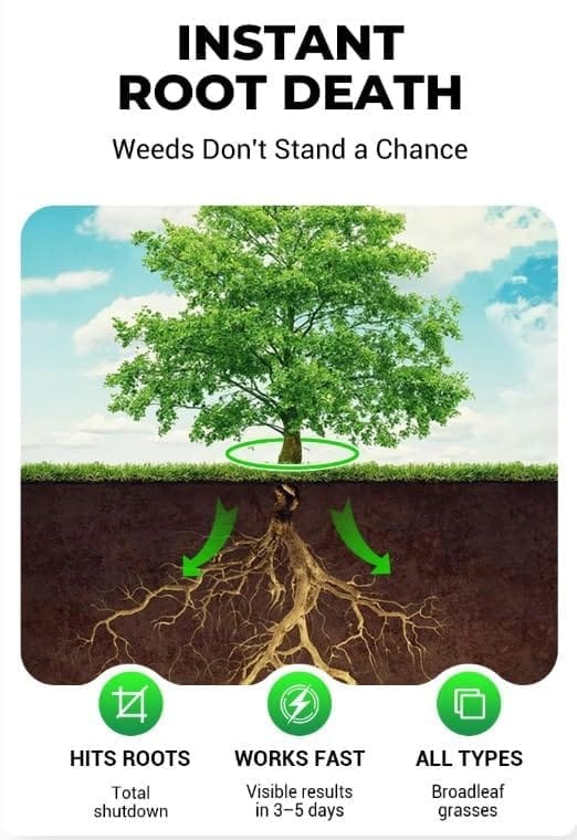 ... ...