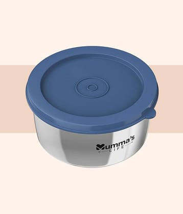 Mumma's Life container Steel Silver Food Container ( Set of 1 )