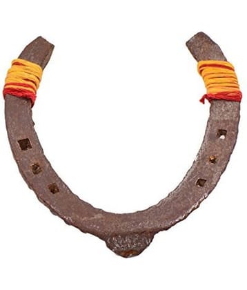RUDRADIVINE Iron Asli Kaale Ghode Ki Naal/Horse Shoe (Black Brown, Standard)
