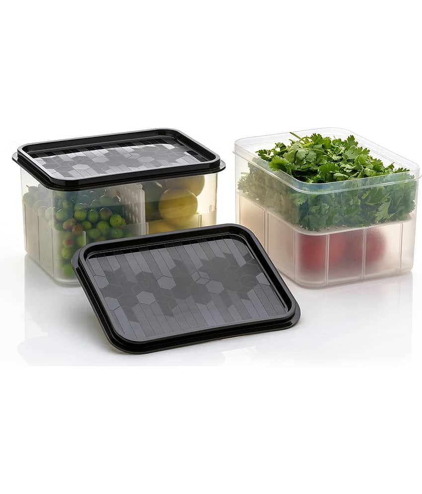 iview kitchenware Fruit AND Vegetable Plastic Black Food Container ( Set of 2 )