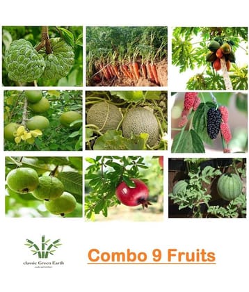 COMBO OF 9 FRUITS 500+ SEEDS