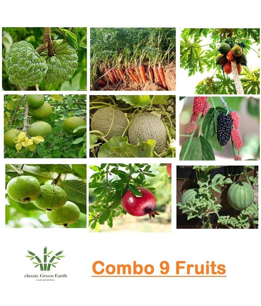 COMBO OF 9 FRUITS 500+ SEEDS