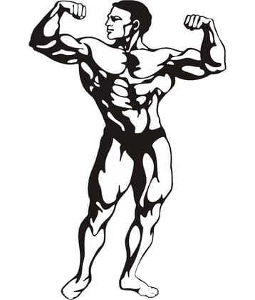 Asmi Collection Body Builder Wrestler Wall Stickers for Gym Sticker ( 40 x 60 cms )
