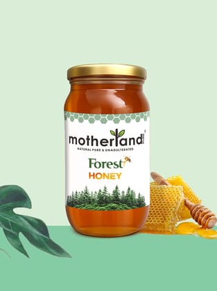 Motherland Pure Raw Wild Forest Honey ( 500 gm ) | 100% Natural & Unprocessed | Daily Wellness