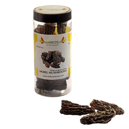Ambrosia Dried Morel Mushrooms 30g | Jumbo Size Without Tail ( Gucci Mushroom), Dark Black, Product of Himalayas