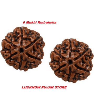 Lucknow Pujan Store Rudrash 6 Mukhi