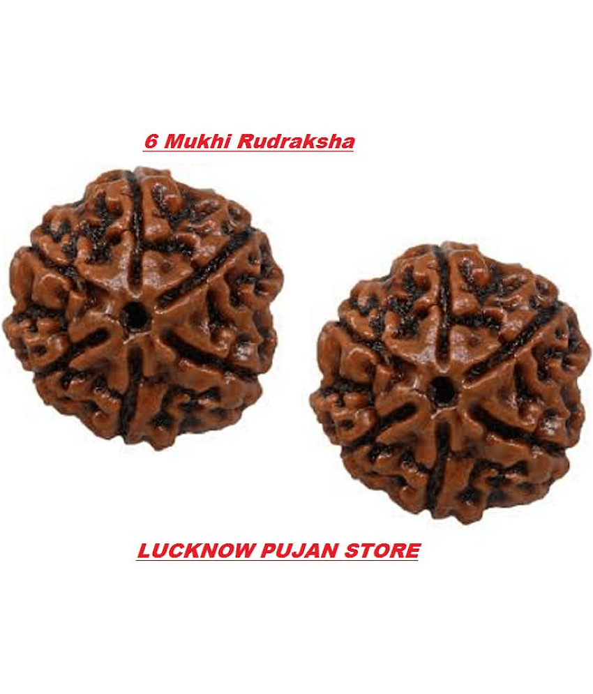 Lucknow Pujan Store Rudrash 6 Mukhi