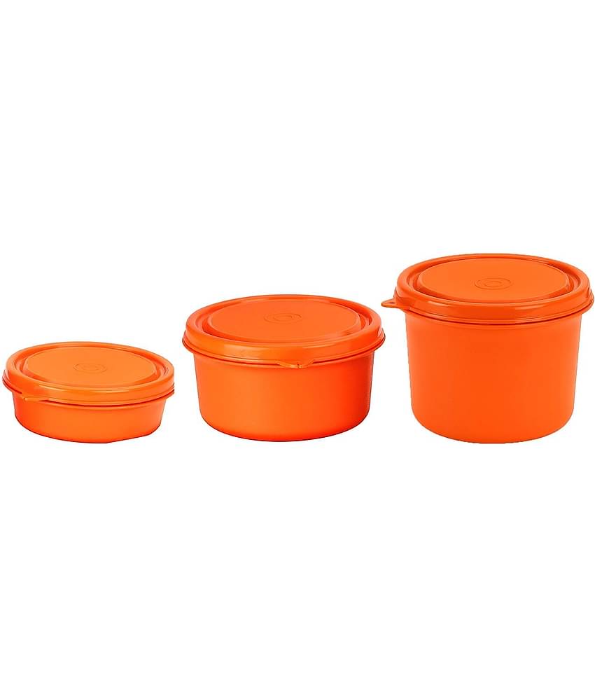 Oliveware Steel Orange Food Container ( Set of 3 )