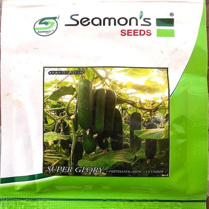 Super Glory (Perthanocarpic Cucumber)