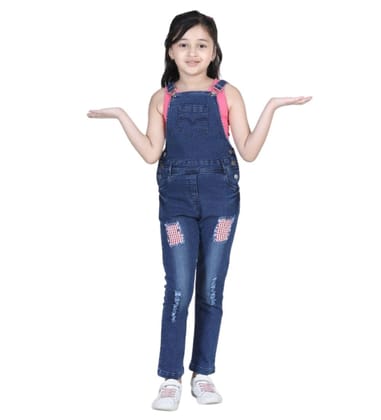 Girl's Denim Patch Work Buttoned Dungaree (Blue, 9-10-Yrs)-PID66050